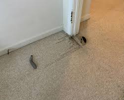 Maybe you would like to learn more about one of these? Berber Carpet Repair Premier Carpet Cleaning