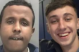 How are Joe Tate and Noah Dingle related