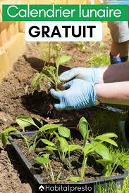 comment jardiner avec la lune le calendrier lunaire de 2021 calendrier lunaire jardin calendrier jardin calendrier lunaire
