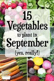 15 Vegetables To Plant In September Zone 9 Fall Garden Vegetables Garden Plants Vegetable Planting Vegetables