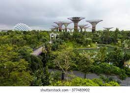 Singapore Green Park High Res Stock Images Shutterstock
