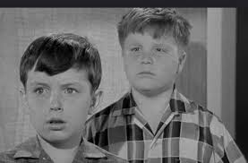 Look at Larry's face 😂🤣😂🤣 A LADYBIRD Mother Finds Larry's Mysterious  Sock อยลอน нПО O2N