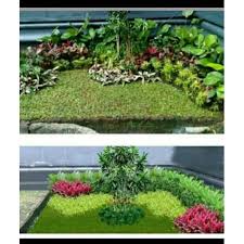 Hasilnya taman terlihat simpel tapi memiliki nilai seni yang cukup tinggi. Paket Taman Minimalis Tanaman Hias Minimalis Shopee Indonesia