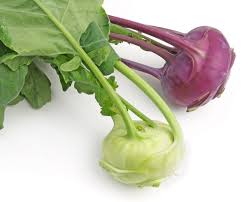 Image result for vegetable
