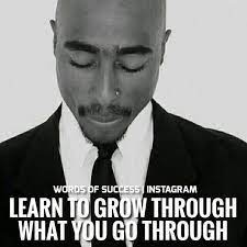 Pin On Tupac Amaru Shakur