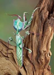 Pin On Colors Of Nature