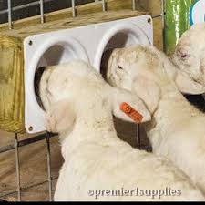 Auto Feeding Lac Tek Milk Machine For Lambs Kids Lamb Sheep Farm Foster Animals