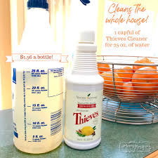 I fill up our large sink only enough to cover the produce. My Favorite Natural All Purpose Cleaner My Merry Messy Life