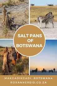 Makgadikgadi Botswana Like Being On The Moon Botswana Travel Africa Travel African Travel