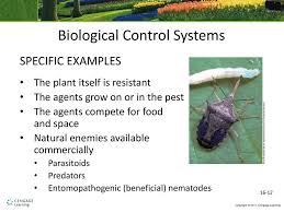 Crop rotation is most effective on pests that develop on a. Unit 16 Integrated Pest Management And The Biological Control Of Pests And Diseases Ppt Download
