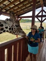 May 28, 2021 · natural bridge state park 6477 south lee highway, natural bridge, va 24578; Safari Drive Thru Zoo Bild Von Virginia Safari Park Natural Bridge Tripadvisor