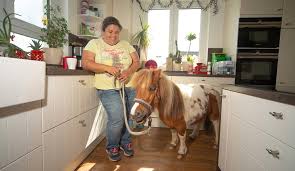 Erfüllen sie sich ihren traum vom eigenen haus + stall! Ein Ortsbesuch In Lonnig Wenn Der Nachbar Leise Wiehert