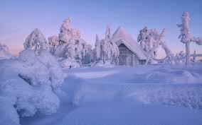Final thoughts on visiting lapland in winter. Finnland Lappland Winter Dichter Schnee Baume Haus 2560x1600 Hd Hintergrundbilder Hd Bild