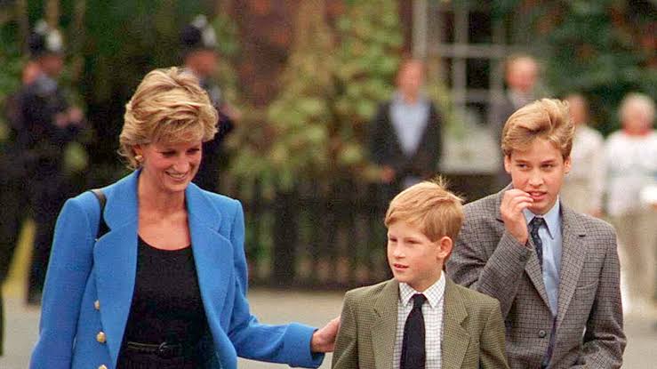 Princess Diana's Photographer Jayne Fincher on William & Harry's Rift |  Marie Claire