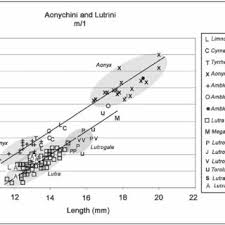 Eu am avut dr650rse care in talon/civ era trecut cu limitare si in realitate modelul (conform serie sasiu) nu putea fi limitat. Pdf First Fossil Small Clawed Otter Amblonyx With A Note On Some Specimens Of Lutra From The Upper Siwaliks India
