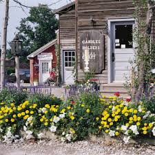 Image result for Pink 1964 Amana