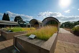 Collections are indicated as available from kew or only available through msb. Kew Science On Twitter Job Want To Lead Our Seed Conservation Research We Re Looking For A Senior Research Leader To Shape The Next Phase Of Our Seed Conservation Work Enhance Our
