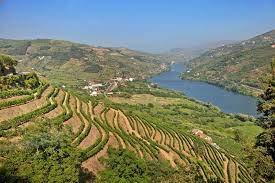 A river valley civilization is an agricultural nation or civilization situated beside and drawing sustenance from a river. Douro River Valley Home To Beloved Port Wine