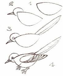 Pin By Seda Ilter On Desenhos Bird Drawings Drawings Drawing Lessons