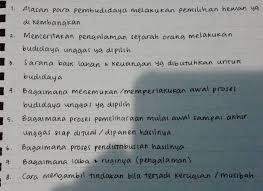 Arti contoh percakapan bahasa inggris 2 orang tentang peraturan sekolah. Ternak Bebek Mohon Bantuannya Yaa Brainly Co Id