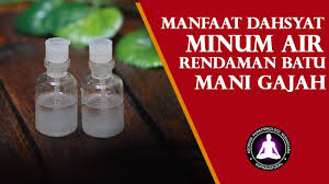 Cara menggunakan mani gajah untuk dagang. Manfaat Minum Air Rendaman Batu Mani Gajah Untuk Pengasihan Kekayaan Seksualitas Youtube