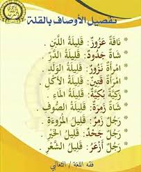 Pin By سنا الحمداني On علم النحو Learn Arabic Language Arabic Language Learning Arabic
