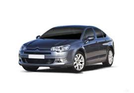 Image result for Brun Guaranja 2011 Citroen