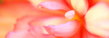 Margaret Marie Kitts