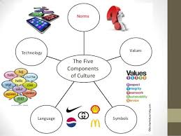 Pin By Nathan Stumpf On Mcat Soc Behavioral Science Norms And Values Behavioral Science Sociology