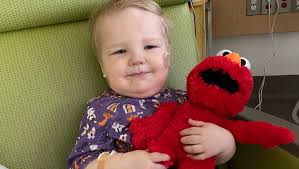 Fundraiser for Austin Cappaert by Aly Cappaert : Mason's Leukemia Fight