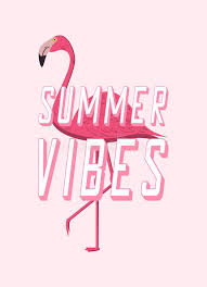Bohemian inspired clothes for women. Summer Vibes Design Poster With Pink Flamingo Cartoon Banner For Summer Time Vector Stock Vector Illustration Of Pink Concept 120246032