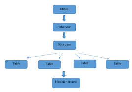 Database and database management system. Struktur Basis Data Konsep Basis Data Dan Diagram Erd