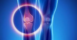 Diagnosis of bone cancer in dogs. Osteosarcoma Symptoms And Treatment Familydoctor Org