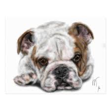 Pin On Christmas Postcards