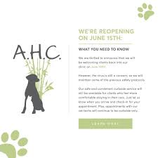 Dogs are welcome to pull up a stool and indulge at their posh puppy bar, while humans browse the aisles of books. Holistic Vet In San Diego Ca Pet Acupuncture