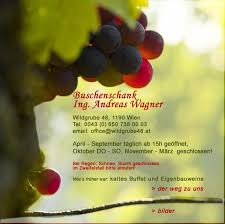 Ing Andreas Wagner Wien Buffet Sturm