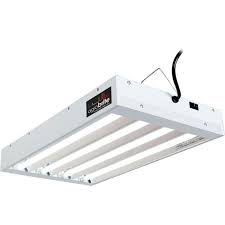 Check spelling or type a new query. Agrobrite T5 2ft 4 Tube Fixture With 6400k Bulbs