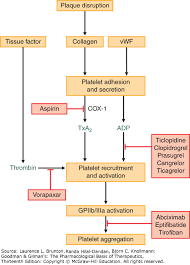 blood coagulation and anticoagulant fibrinolytic and