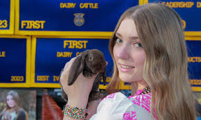Broken chocolate mini rex 5/8/22 DOB siblings buck and doe Pm for more info