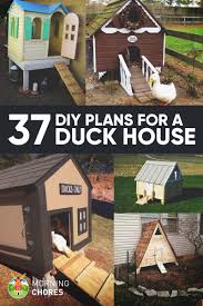 This duck house follows the traditional duck house building technique. 37 Free Diy Duck House Coop Plans Ideas That You Can Easily Build