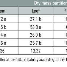 Douglas BERGMANN DA ROSA