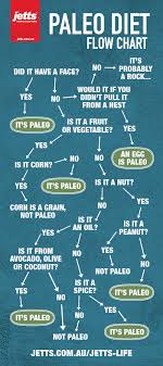 jetts life paleo diet flow chart jetts 24 hour fitness