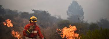 No hay movilización en las redes, ¿por qué la. 5oo Bomberos Voluntarios Combaten Incendios Forestales En Cordoba Bomberos Voluntarios De Argentina