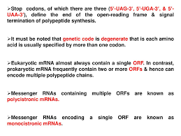 The process by which genetic information is transferred from. Protein Synthesis Dr M Jawad Hassan Ppt Download
