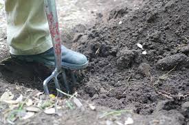 Next step is to water your new garden soil. Preparing A New Garden Bed With Double Digging