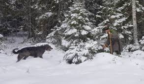 This game is available on any android phone above version 4.0 and on ios up to 50 players can be included in free fire. Medieval Hunter Exploring The Medieval Hunt