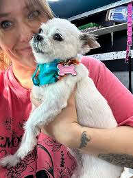 Dealing with excessive ads