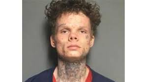 Police say Hoover man hit Springville officer with stolen car