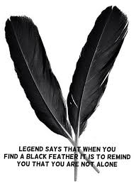 It Reminds You Spirit Is Near You Pinned By The Mystic S Emporium On Etsy Feather Meaning Feather Crow