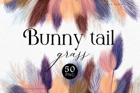 High quality transparent png pictures or layered psd files, 300 dpi, fast download. Pampas Grass Clipart Modern Dried Floral Clipart Autumn Clipart With Dried Grass Decor Png In Illustrations On Yellow Images Creative Store